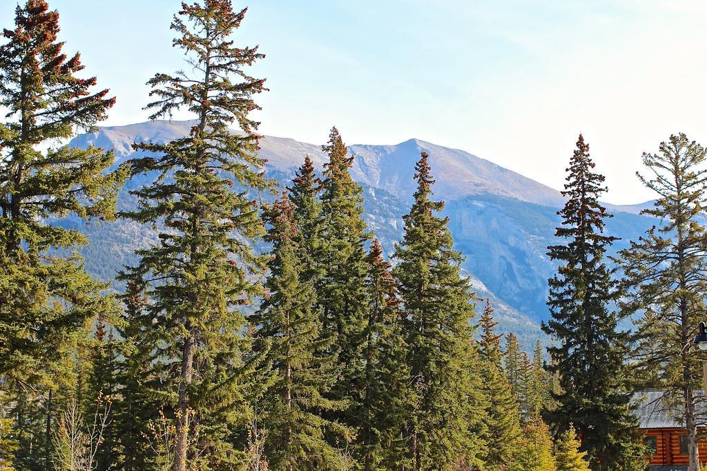 Luxury Canmore Vacations エクステリア 写真